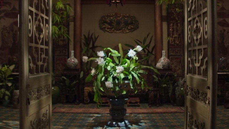 orchid cactus bloom in entryway 