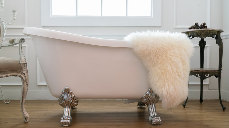 claw-footed bathtub