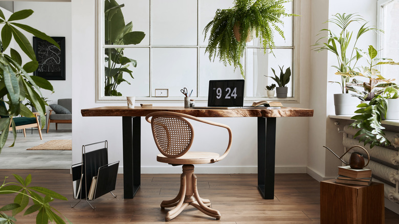 home office with houseplants