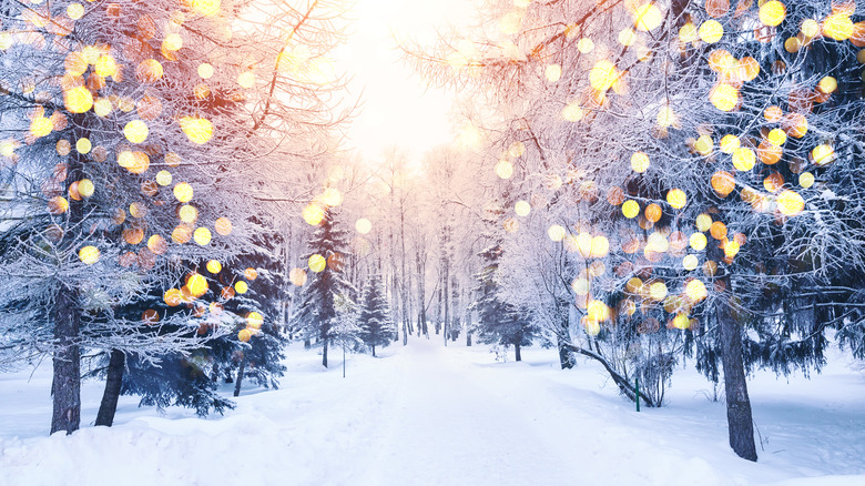 glitter falling on snowy trees