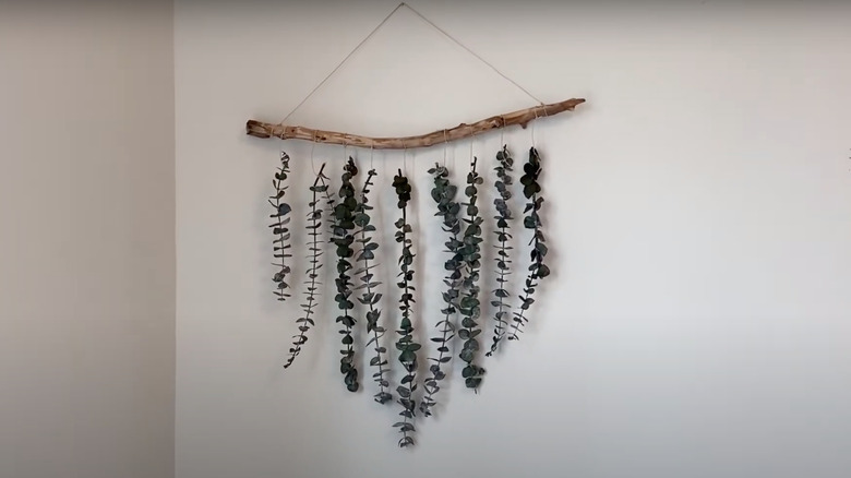 DIY eucalyptus wall hanging