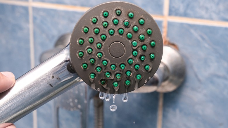 Calcified showerhead