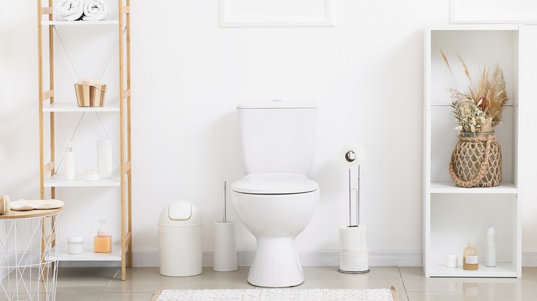 clean white toilet and accessories