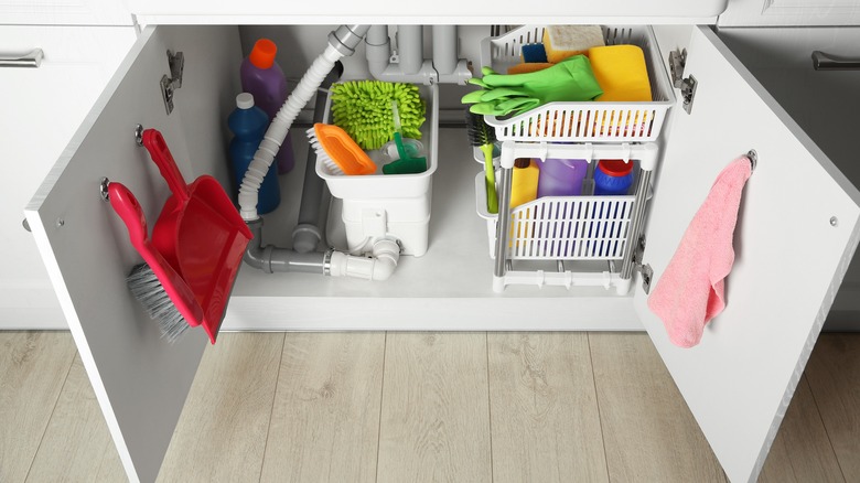 cleaning supplies organized under sink