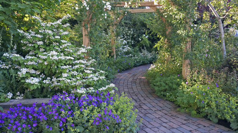 Pathway through garden