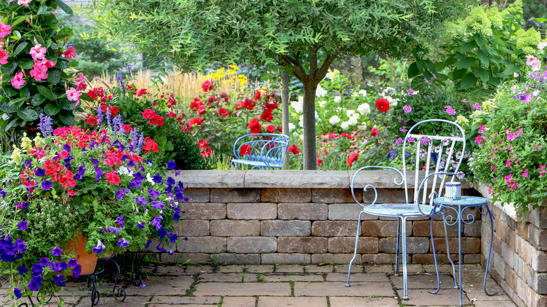 Tea table in cottage garden