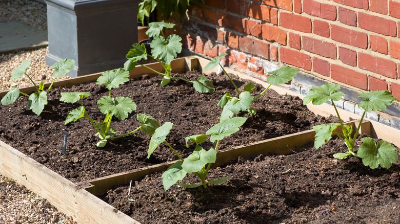 cross supports in raised bed