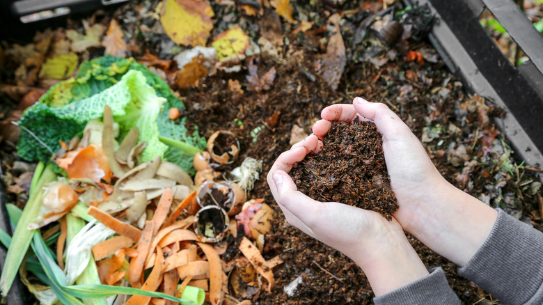 hands holding compost