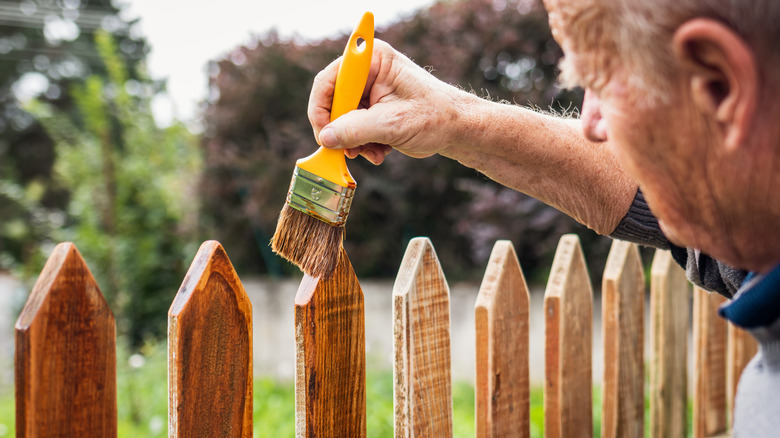 Man staining a wood picket fence