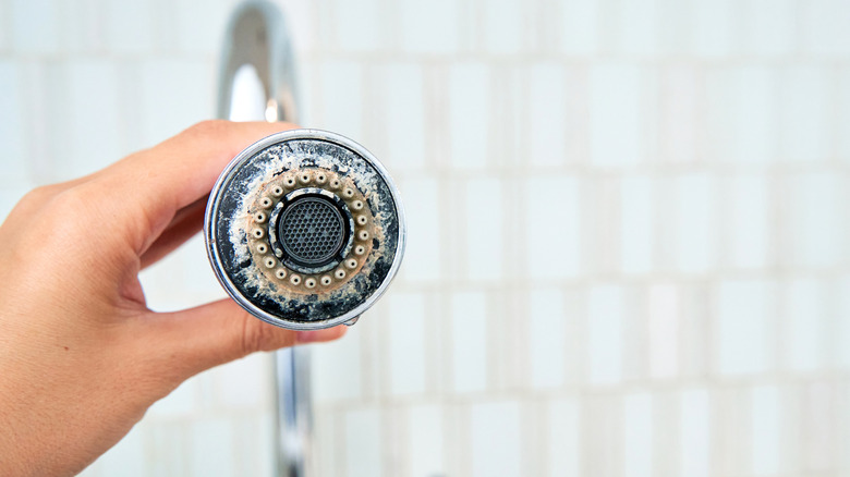 A woman is holding a shower head with calcium build up from hard water.