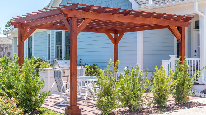 Outdoor patio with a wooden pergola and small evergreens