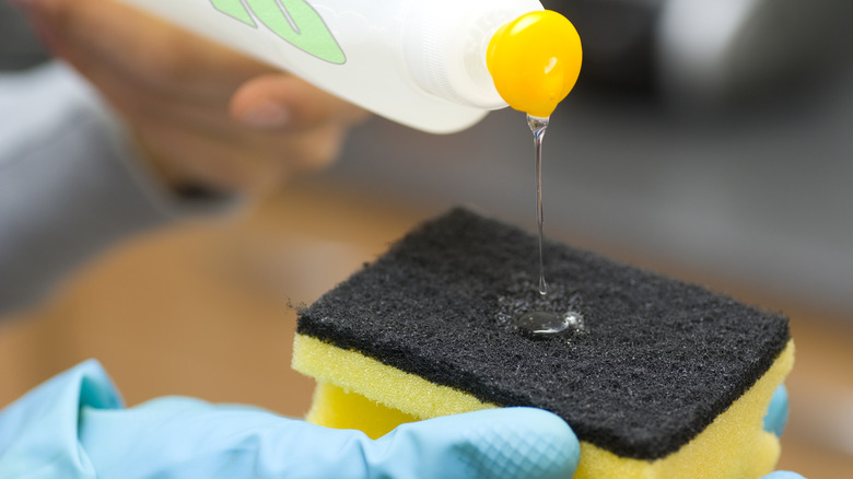 person adding soap to sponge