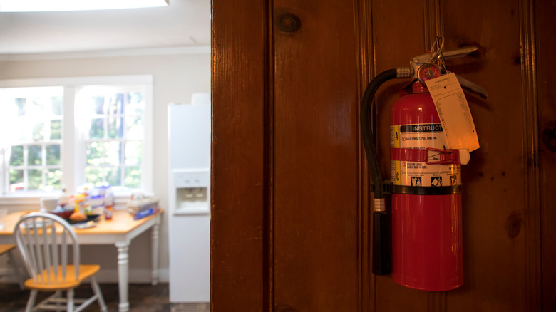 Wall mounted fire extinguisher 