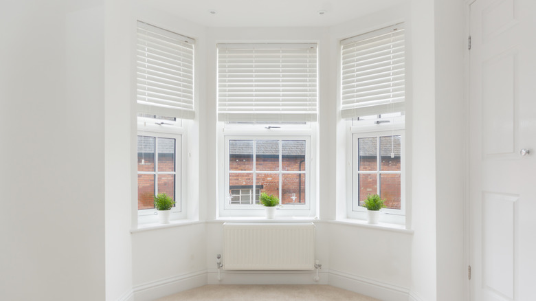 A plain bay window with no curtains