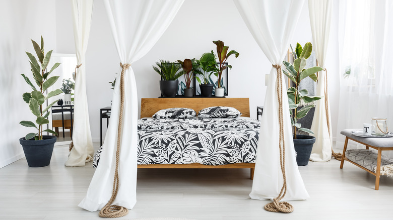 tasteful canopy bed