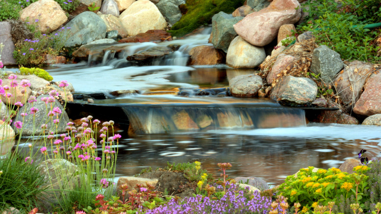 waterfall with plants and stones