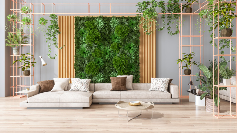 Sofa and houseplants in living room