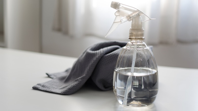 Spray bottle of cleaner