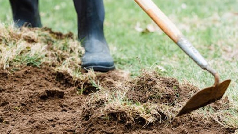 Gardener hoe preparing soil
