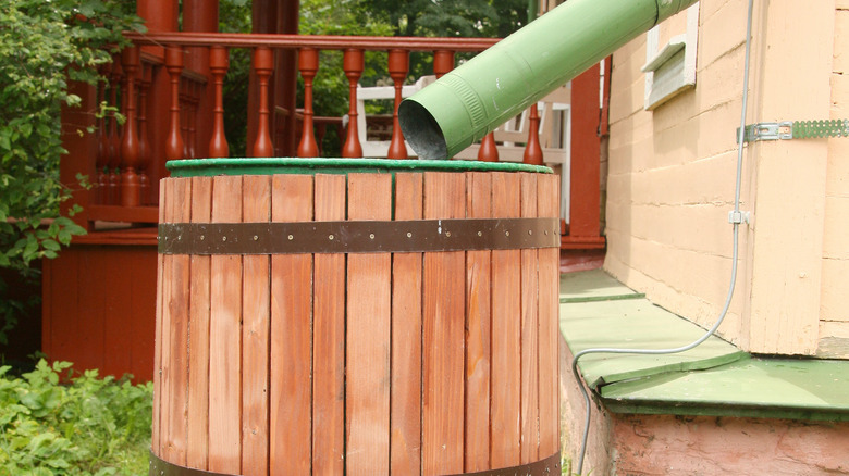 rain barrel with wood panels