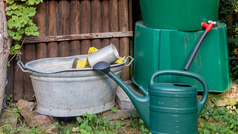 rain barrel spigot