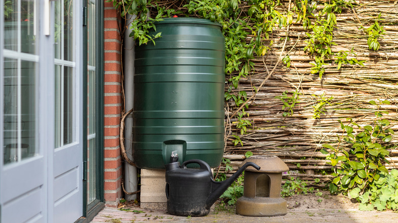 rain barrel filling watering can