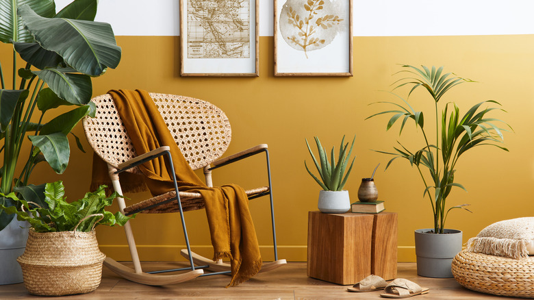 chair with houseplants