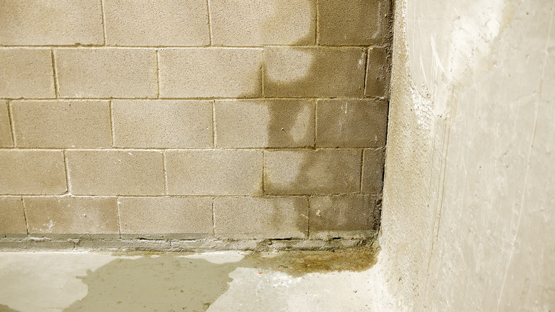 Wet cement block in basement