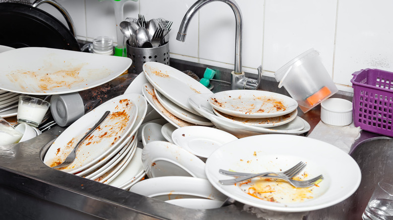 dirty dishes attracting drain flies 