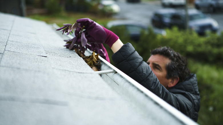 Person cleaning leaves out of gutter while wearing gloves