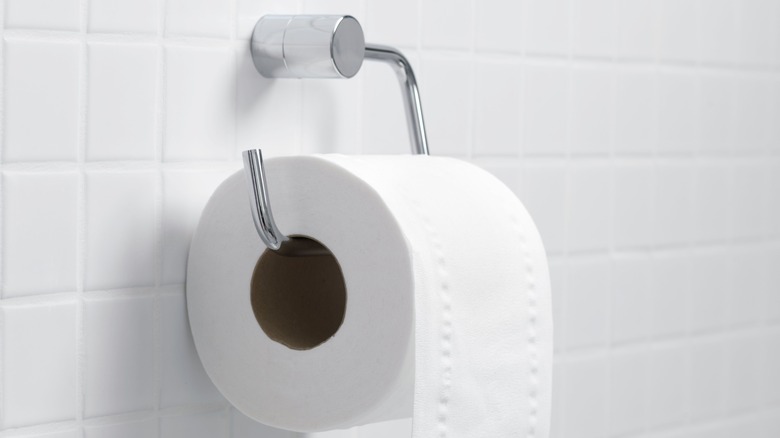 toilet paper on chrome holder