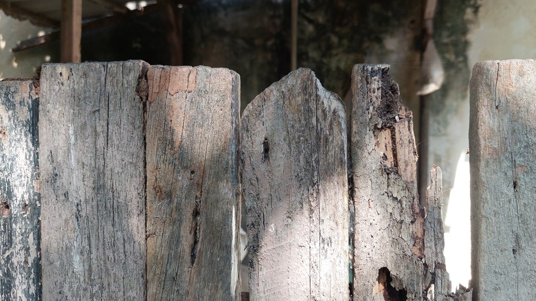 Rotting wood fence posts