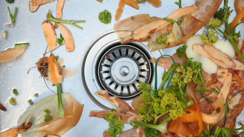 Food scraps surrounding sink drain