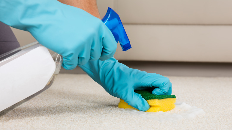 Carpet cleaning with sponge