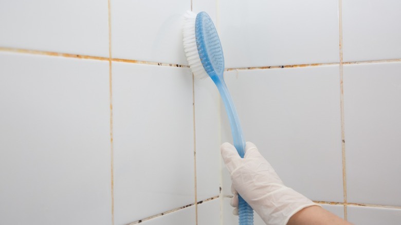 Cleaning moldy grout with blue scrub brush