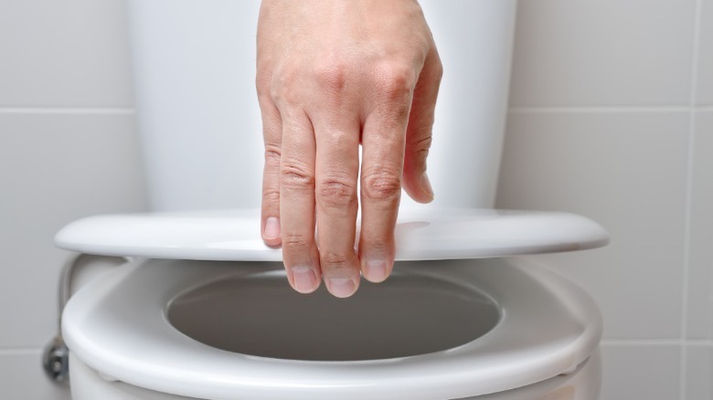 Hand lifting white toilet seat