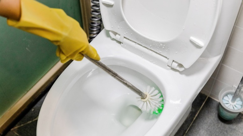 Hand cleaning toilet bowl