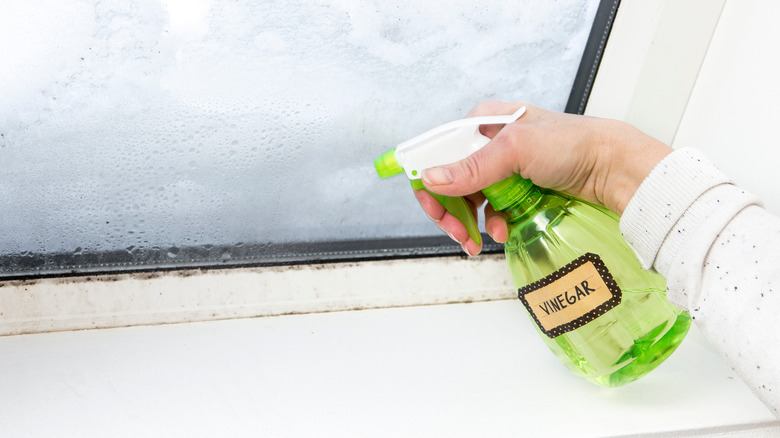 Spraying vinegar on windowsill