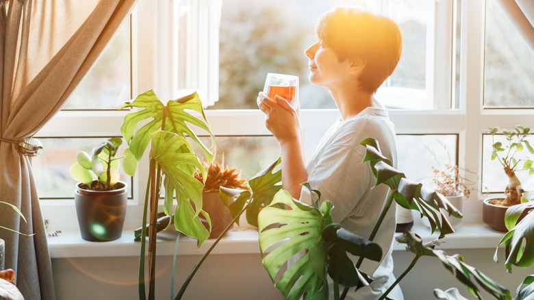 Person drinking tea in sunroom