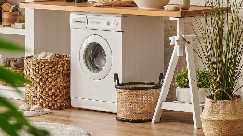 plants in laundry room