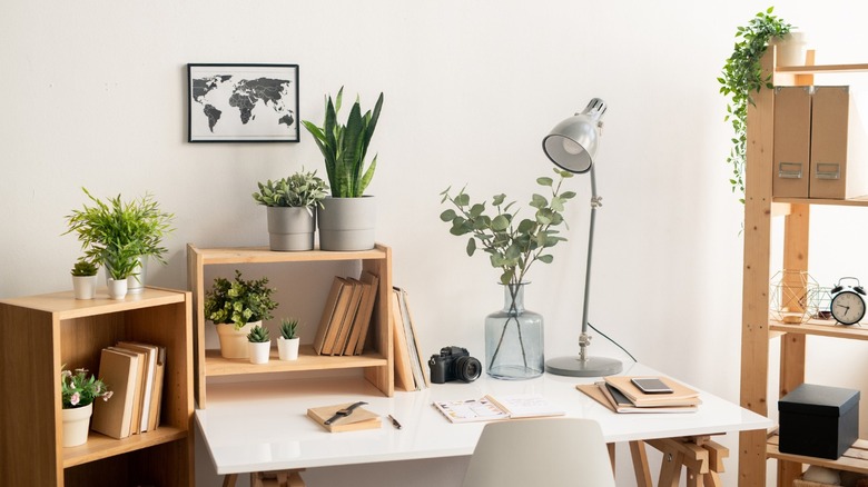 Desk with plants