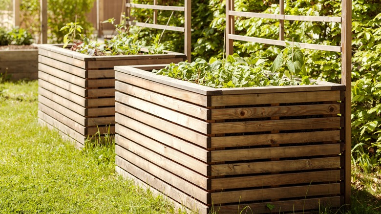 Two large wood slat planters