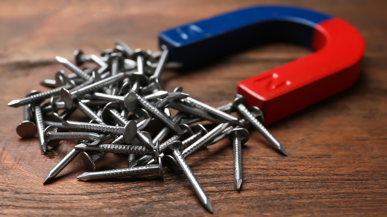 Magnet with nails