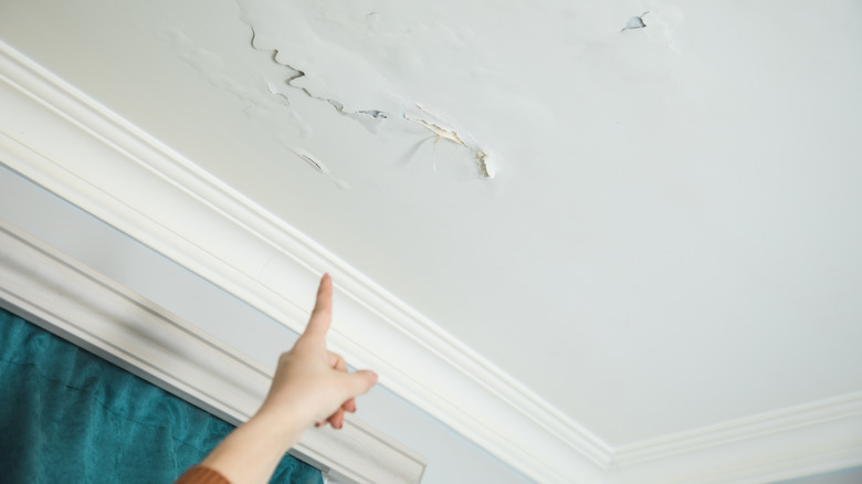 A woman points up at a peeling ceiling paint