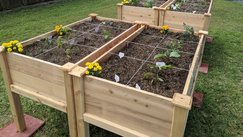 Elevated wooden planter boxes that are in good shape with flowers and vegetables