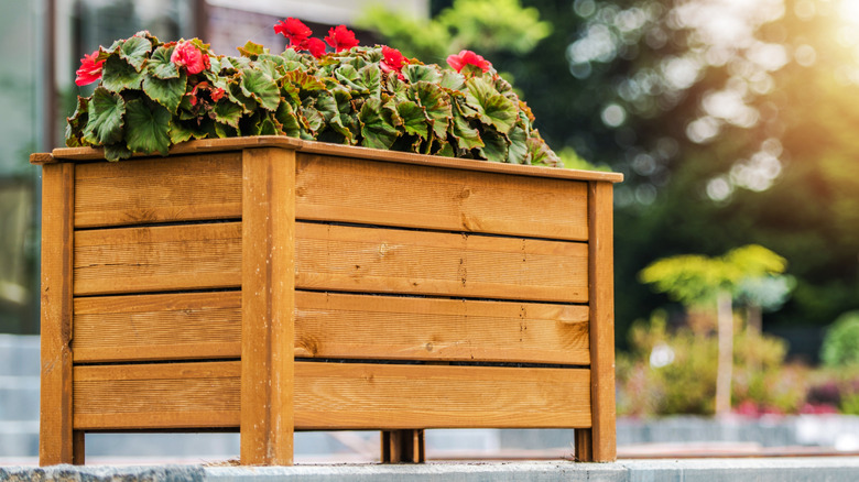 A small planter box with red flowers in it