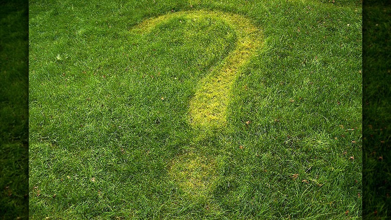 Question mark mowed in lawn