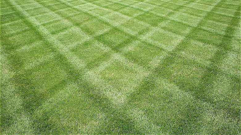 Lawn with diamond patterns
