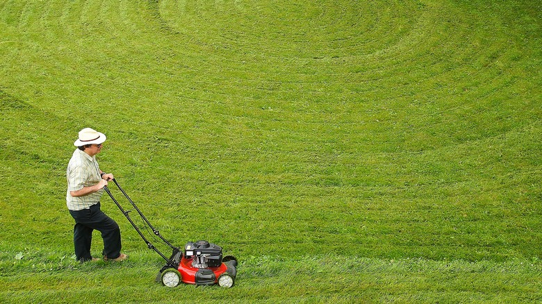 Person mowing circles in lawn