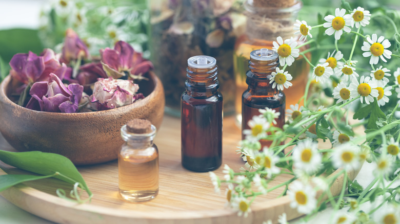 Bottles of essential oils